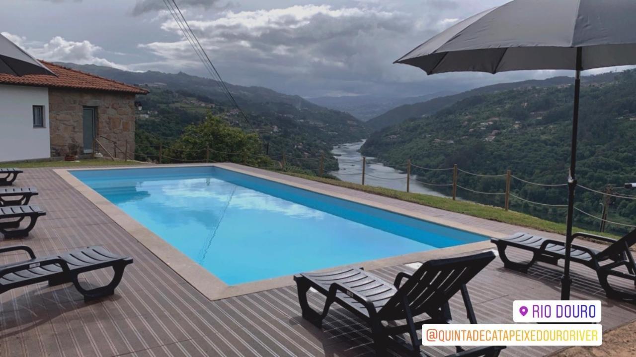 Quinta de Catapeixe Douro River Magrelos Exterior foto