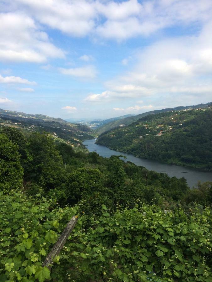 Quinta de Catapeixe Douro River Magrelos Exterior foto