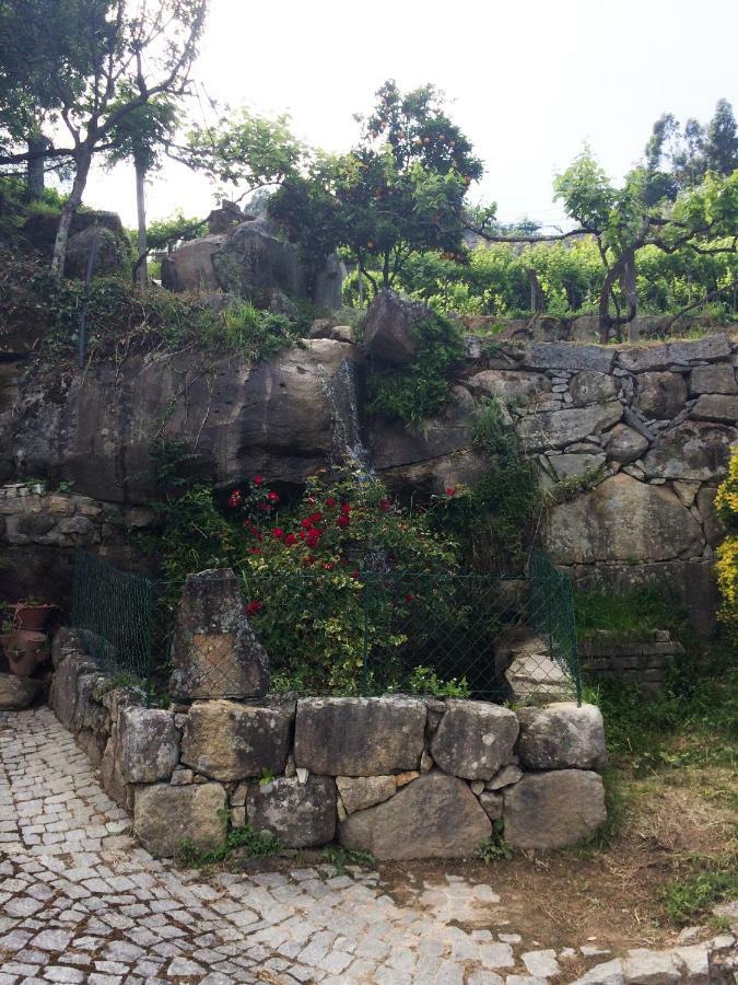 Quinta de Catapeixe Douro River Magrelos Exterior foto